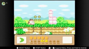 KirbyDreamLand3Animal